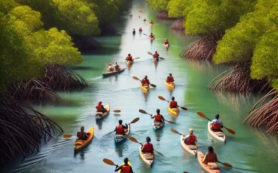 Aventure à Saloum : Kayak et Nature